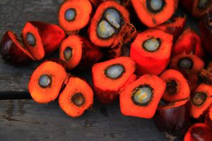 PalmOil