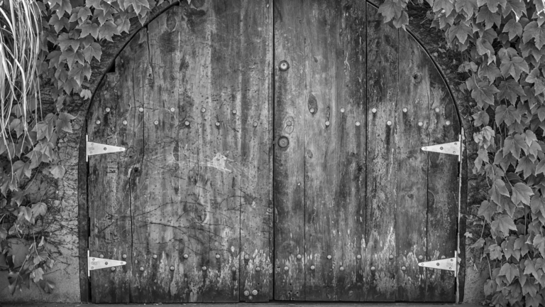 The100: Cognitive debt, the burden of curiosity and cellar doors