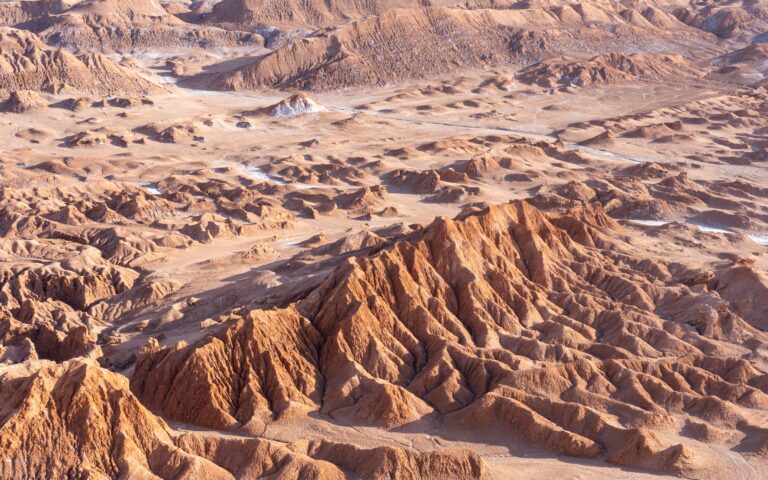 The100: Expanding time, talking to animals and Chile’s Atacama Desert
